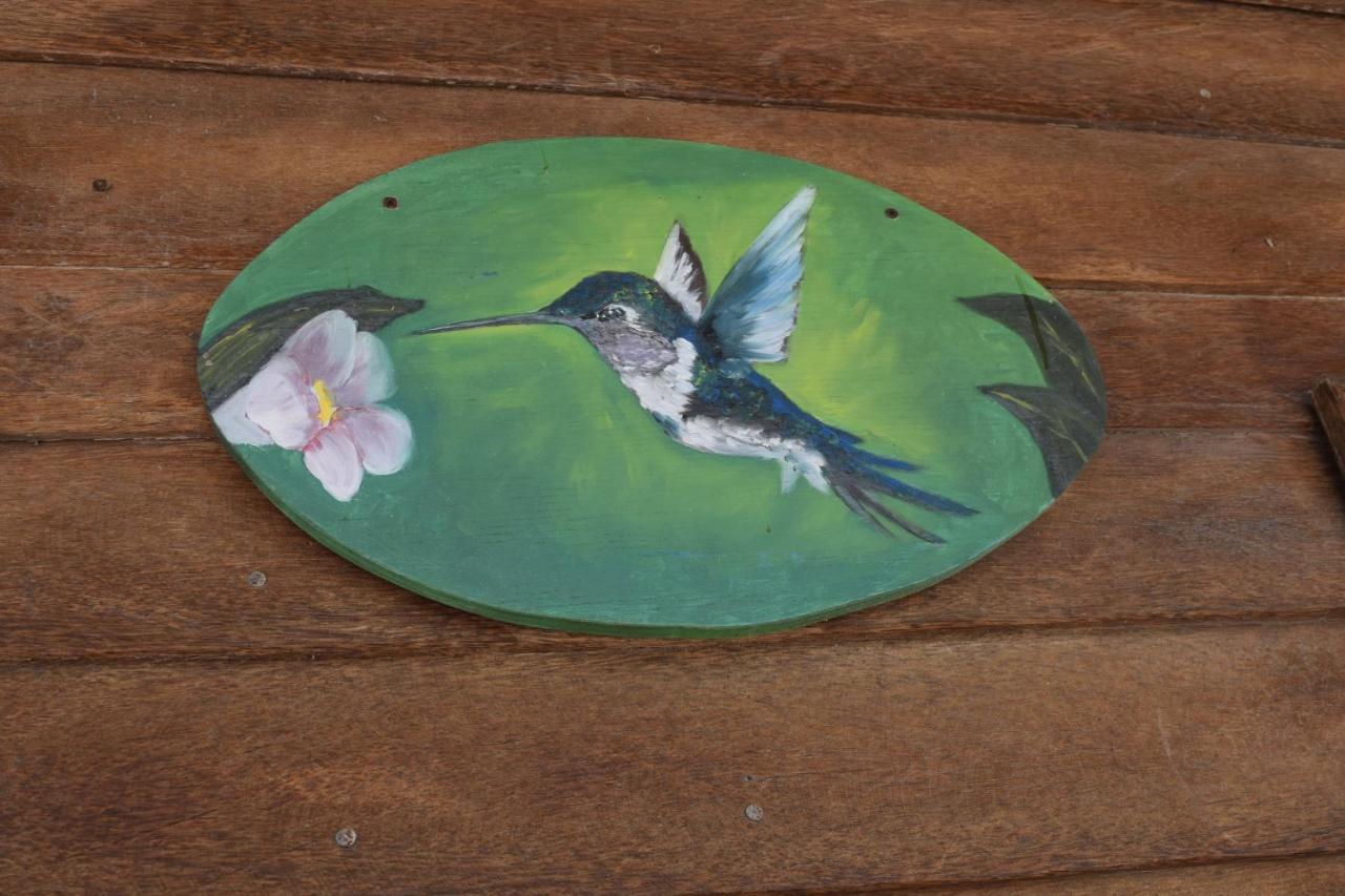 Cabana Colibri A 50 Metros De La Playa Διαμέρισμα El Cuyo Εξωτερικό φωτογραφία